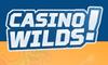 Online Casino «Casino Wilds»