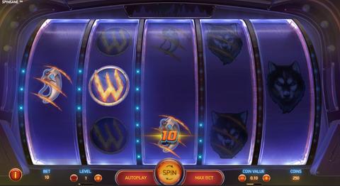 Online Casino «Spinsane Slot»